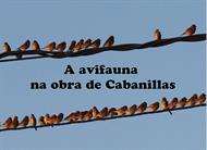 A avifauna na obra de Ramón Cabanillas